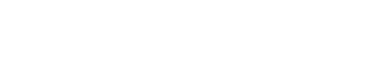 VOXEL